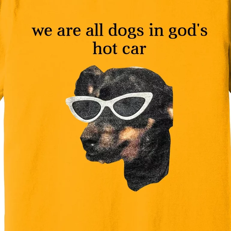 We Are All Dogs In God’S Hot Car Premium T-Shirt