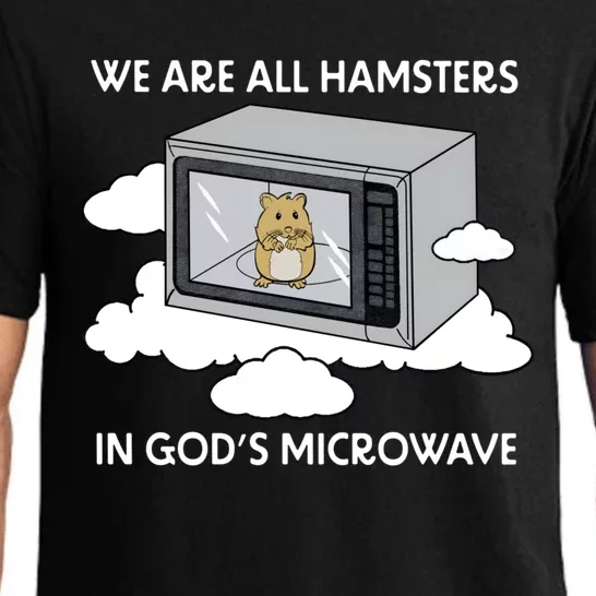 We Are All Hamsters In Gods Microwave Funny Pajama Set