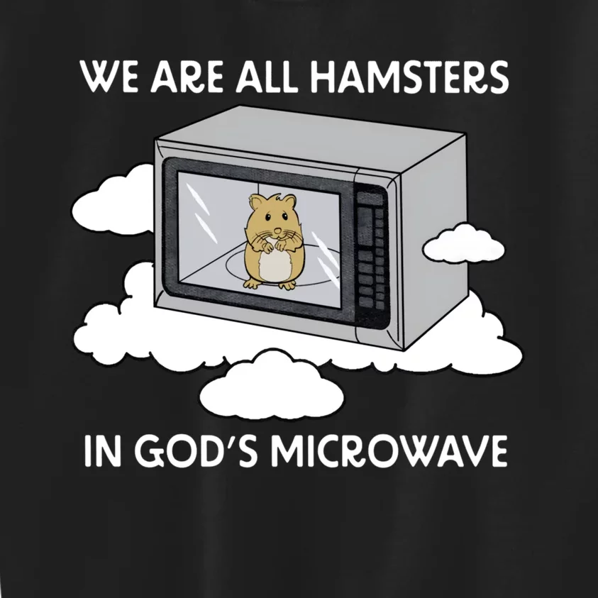 We Are All Hamsters In Gods Microwave Funny Kids Sweatshirt