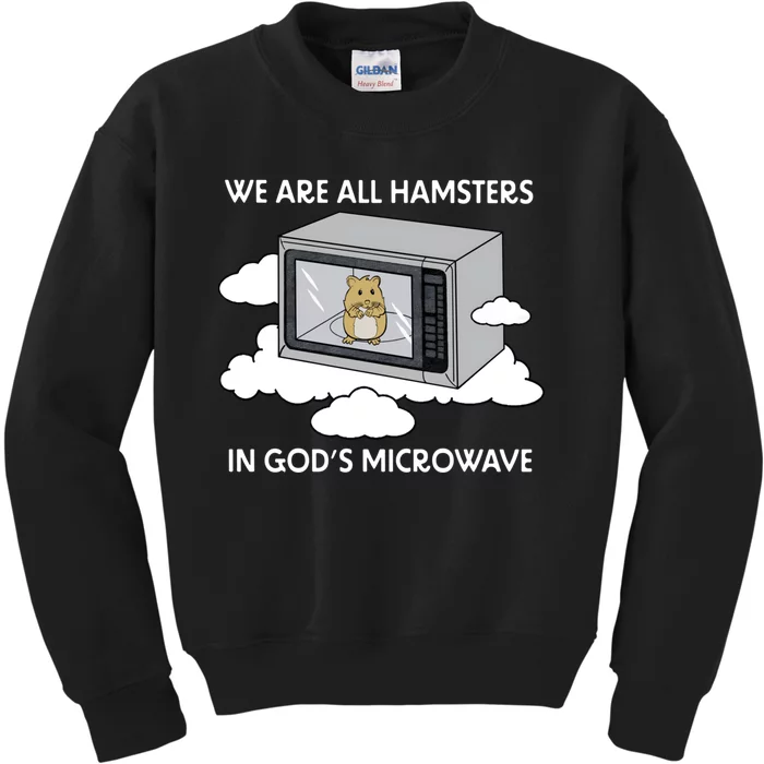 We Are All Hamsters In Gods Microwave Funny Kids Sweatshirt