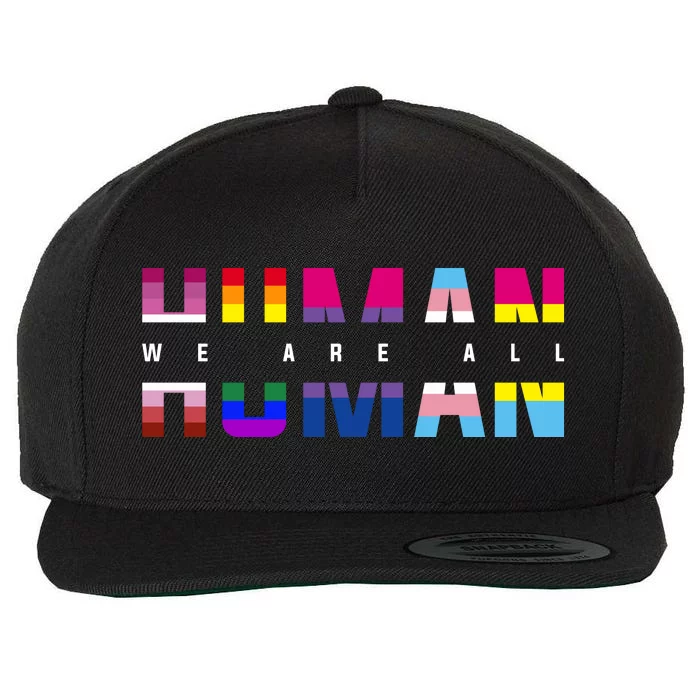 We Are All Human LGBT Pride Wool Snapback Cap