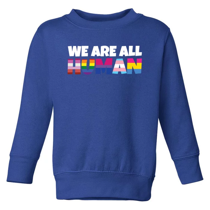 We Are All Hu Proud Lgbt Rainbow Flag Inspirational Gift Toddler Sweatshirt