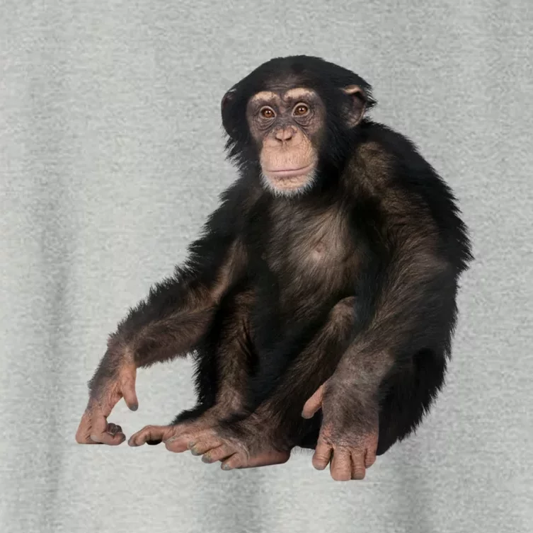 We Are All Hu Monkey Ape Chimpanzee Meaningful Gift Women's Crop Top Tee