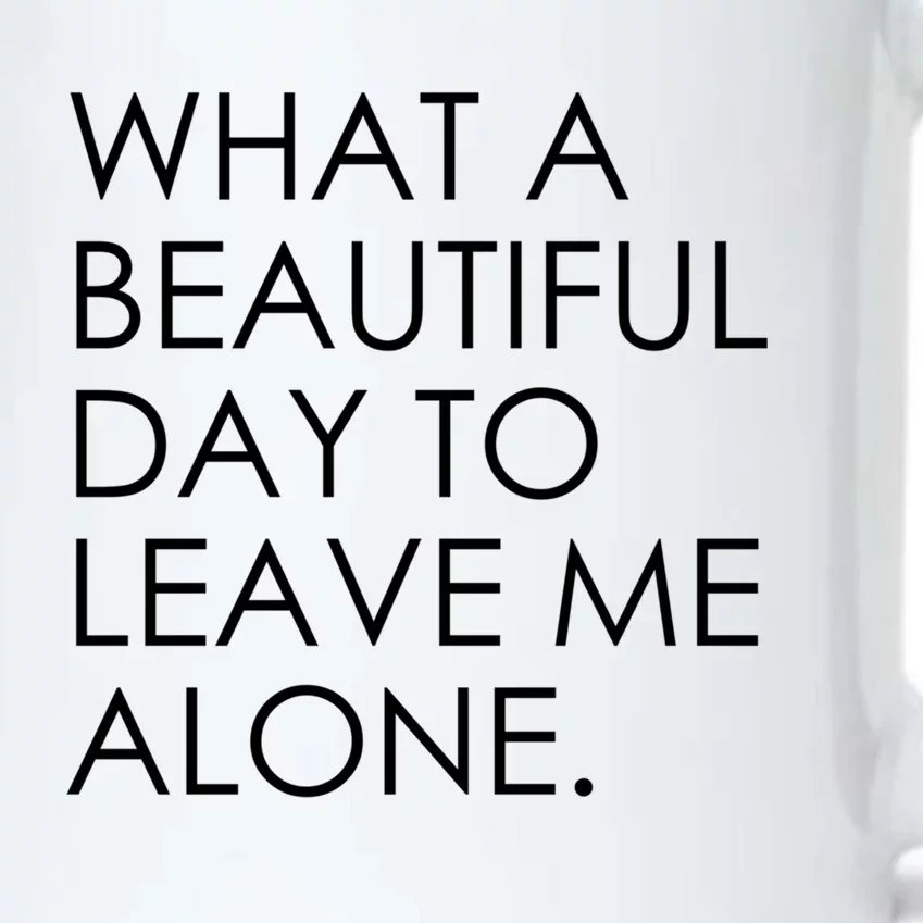 What A Beautiful Day To Leave Me Alone Cool Gift Black Color Changing Mug