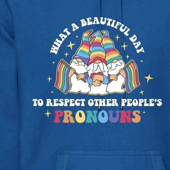 What A Beautiful Day To Respect Other Peoples Pronouns Great Gift Premium Hoodie