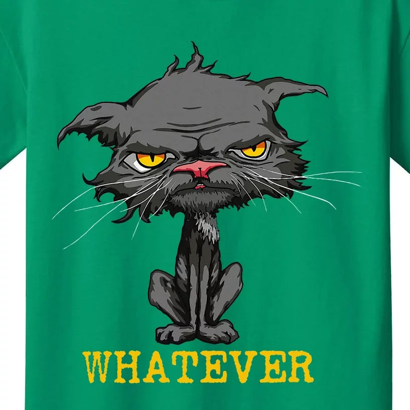 Whatever Angry Cat Funny Sarcastic Bored Cat Lovers Meh Kids T-Shirt