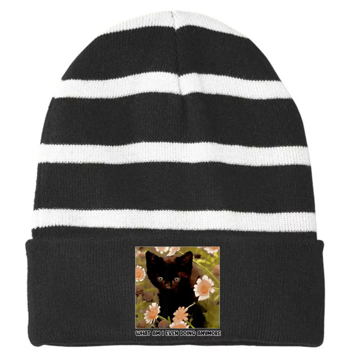 What Am I Even Doing Anymore Funny Cat Striped Beanie with Solid Band