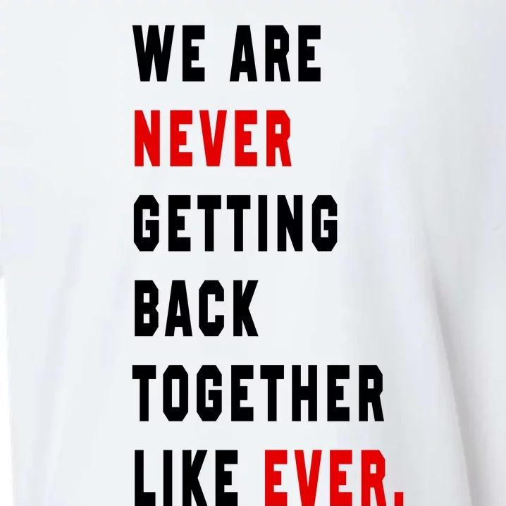 We Are Never Getting Back Together Like Ever Sueded Cloud Jersey T-Shirt