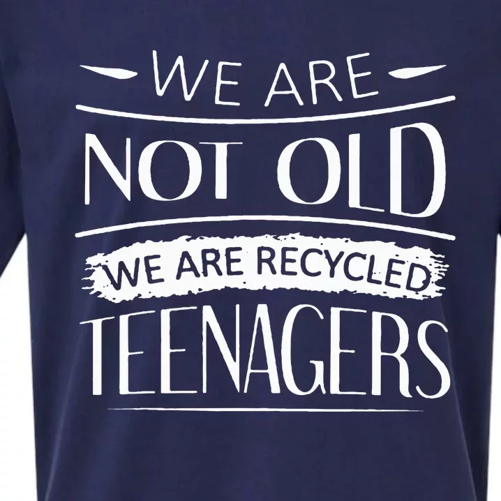 We are not old we are recycled teenagers Sueded Cloud Jersey T-Shirt