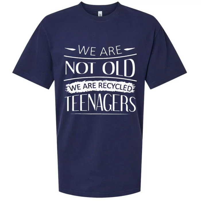 We are not old we are recycled teenagers Sueded Cloud Jersey T-Shirt