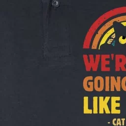 We Are Not Going Back Like Ever Cat Lady Kamala Harris2024 Softstyle Adult Sport Polo