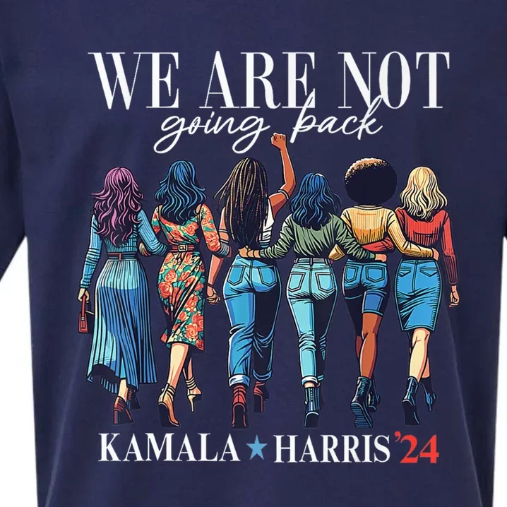 We Are Not Going Back Kamala Harris Waltz 24 Madam President Sueded Cloud Jersey T-Shirt