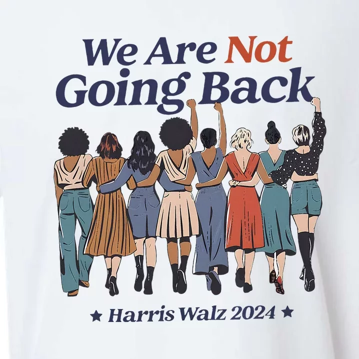 We Are Not Going Back Kamala Harris Waltz 24 Madam President Sueded Cloud Jersey T-Shirt