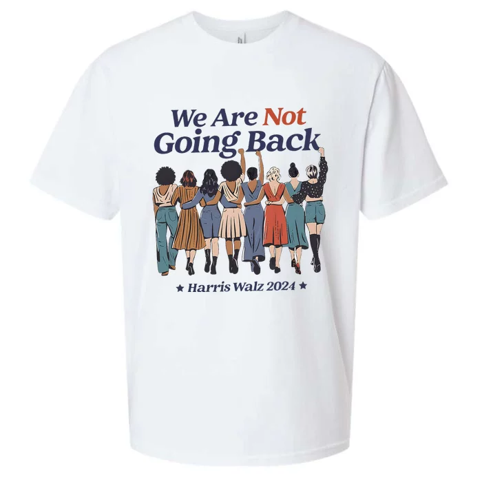 We Are Not Going Back Kamala Harris Waltz 24 Madam President Sueded Cloud Jersey T-Shirt