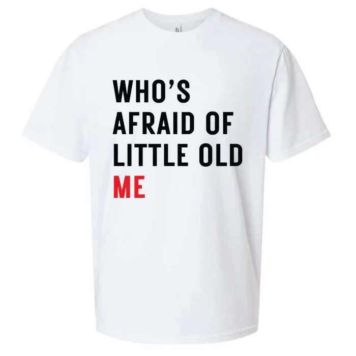 Whos Afraid Of Little Old Me Sueded Cloud Jersey T-Shirt