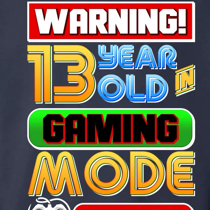 Warning 13 Year Old In Gaming Mode Birthday Toddler Hoodie