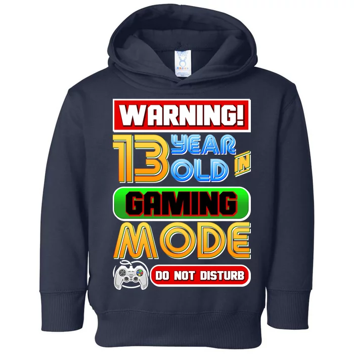 Warning 13 Year Old In Gaming Mode Birthday Toddler Hoodie