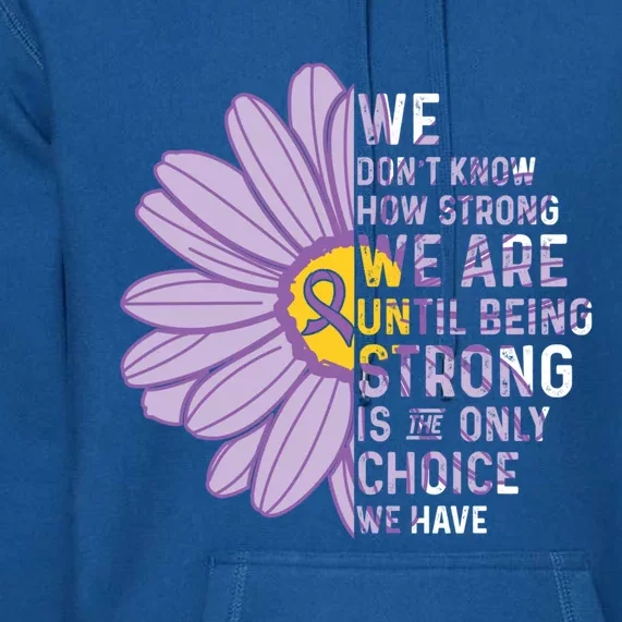 We Are Stronggift Sjogrens Syndrome Awareness Supporter Ribbon Gift Premium Hoodie