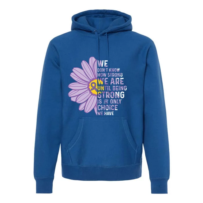 We Are Stronggift Sjogrens Syndrome Awareness Supporter Ribbon Gift Premium Hoodie