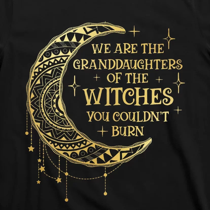 We Are The Granddaughters Of The Witches You Could Not Burn T-Shirt