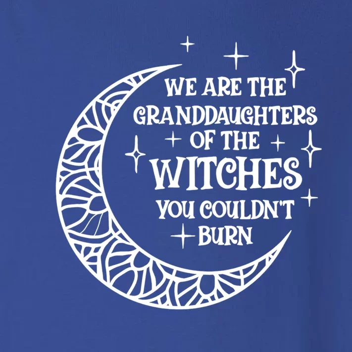 We Are The Granddaughters Of The Witches Funny Halloween Gift Toddler Long Sleeve Shirt