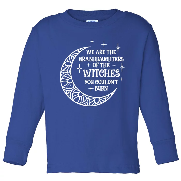 We Are The Granddaughters Of The Witches Funny Halloween Gift Toddler Long Sleeve Shirt