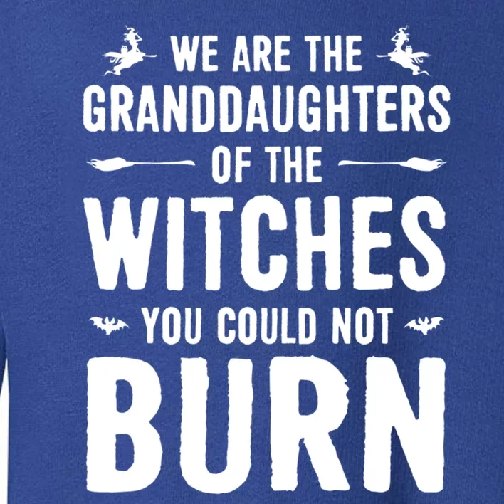 We Are The Granddaughters Of The Witches Funny Witch Great Gift Toddler Sweatshirt