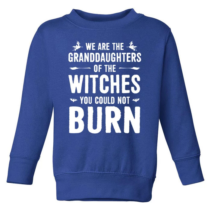 We Are The Granddaughters Of The Witches Funny Witch Great Gift Toddler Sweatshirt