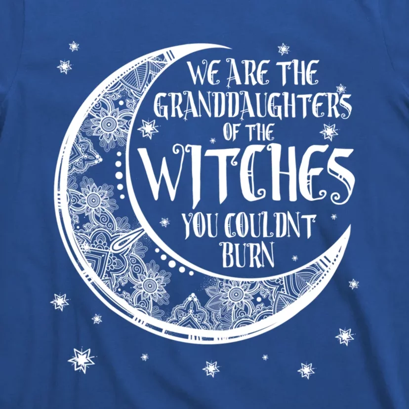 We Are The Granddaughters Of The Witches You Could Not Burn Great Gift T-Shirt