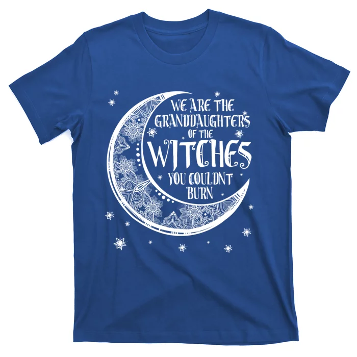 We Are The Granddaughters Of The Witches You Could Not Burn Great Gift T-Shirt