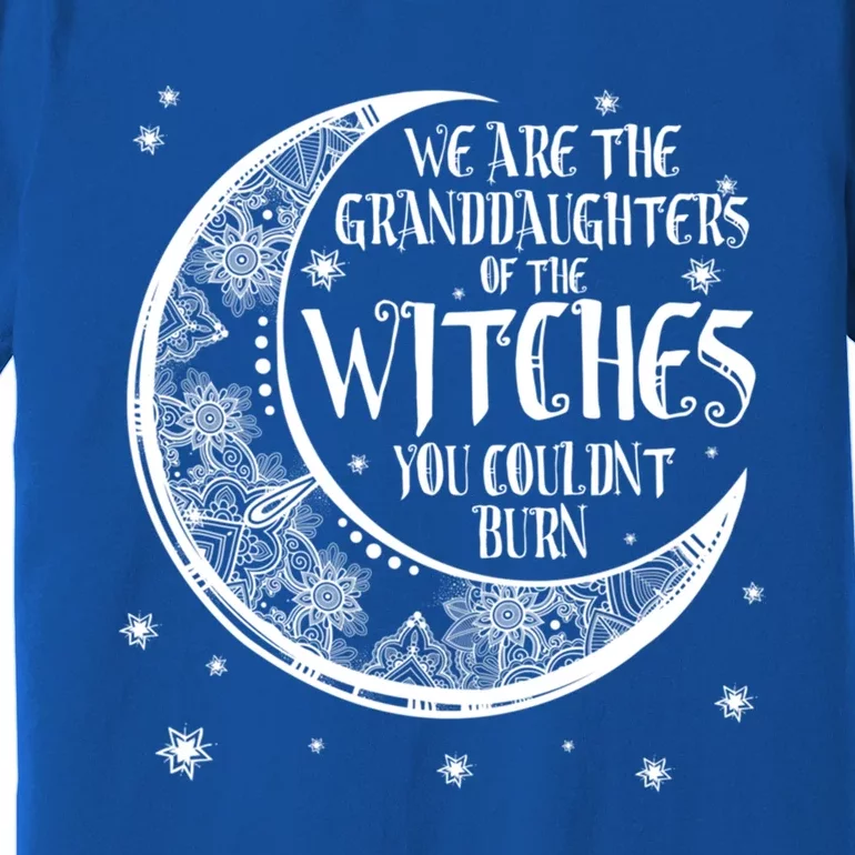 We Are The Granddaughters Of The Witches You Could Not Burn Great Gift Premium T-Shirt