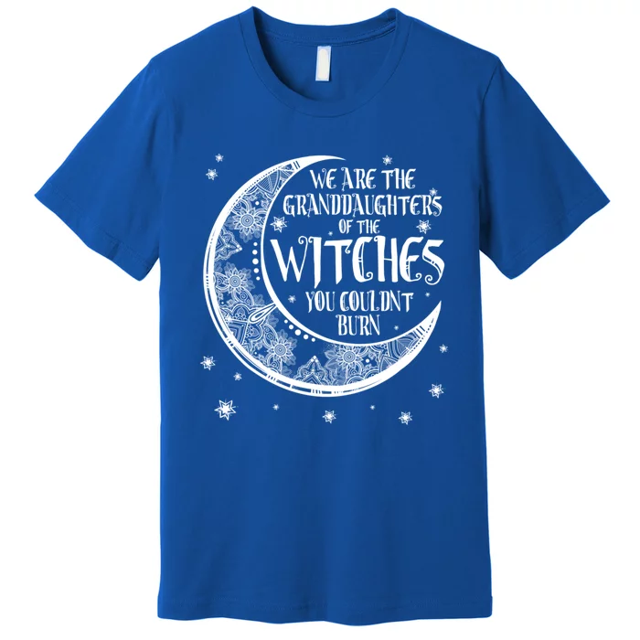 We Are The Granddaughters Of The Witches You Could Not Burn Great Gift Premium T-Shirt