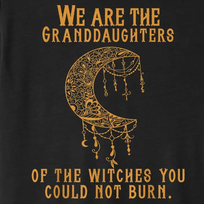 We Are The Granddaughters Of The Witches You Could Not Burn ChromaSoft Performance T-Shirt