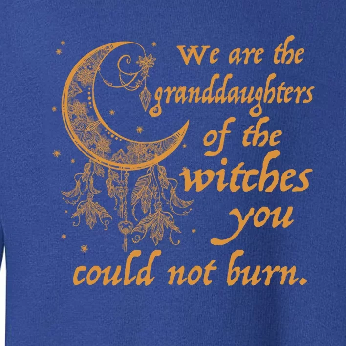 We Are The Granddaughters Of The Witches You Couldn't Burn Gift Toddler Sweatshirt