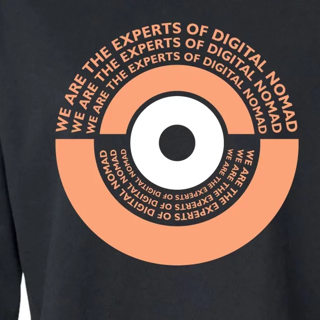 We Are The Experts Of Digital Nomad Cropped Pullover Crew