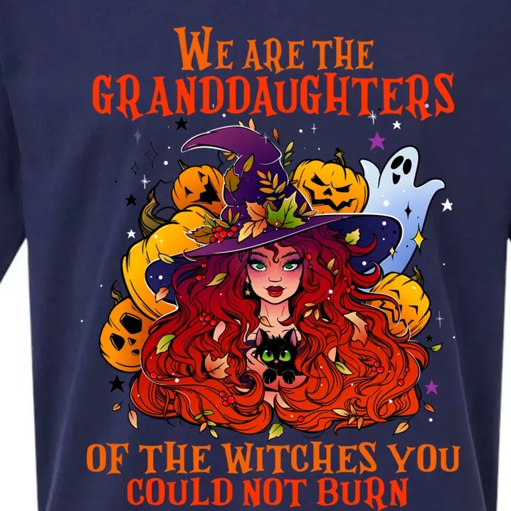 We Are The Granddaughters Of The Witches You Could Not Burn Meaningful Gift Sueded Cloud Jersey T-Shirt