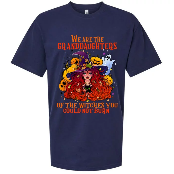 We Are The Granddaughters Of The Witches You Could Not Burn Meaningful Gift Sueded Cloud Jersey T-Shirt