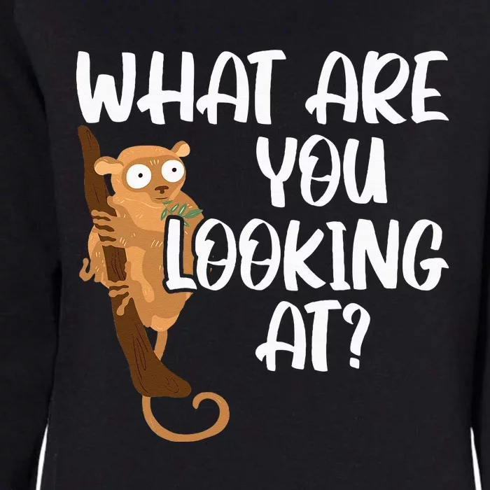 What Are You Looking At Big Eyes Animal Lover Tarsier Womens California Wash Sweatshirt