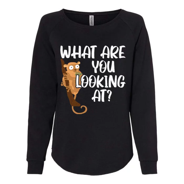 What Are You Looking At Big Eyes Animal Lover Tarsier Womens California Wash Sweatshirt