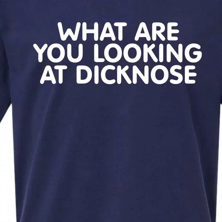 What Are You Looking At Dicknose Sueded Cloud Jersey T-Shirt