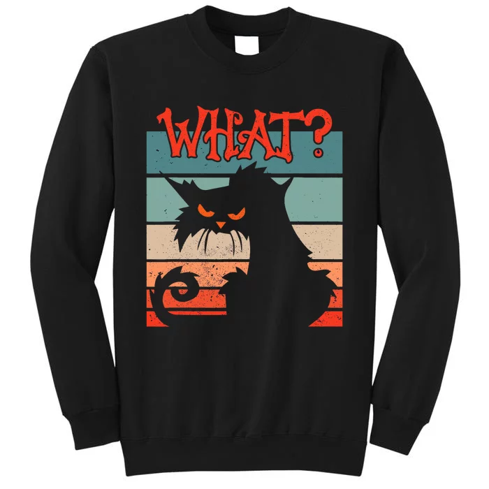 What? Black Cat Kitty For Man And Woman Funny Cat Tall Sweatshirt