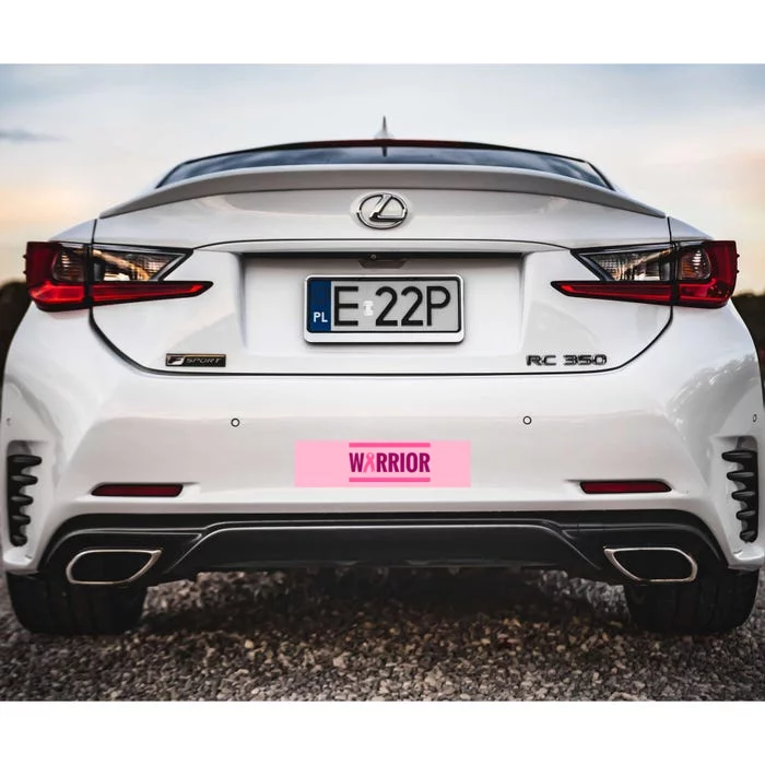 Warrior Breast Cancer Ribbon Bumper Sticker