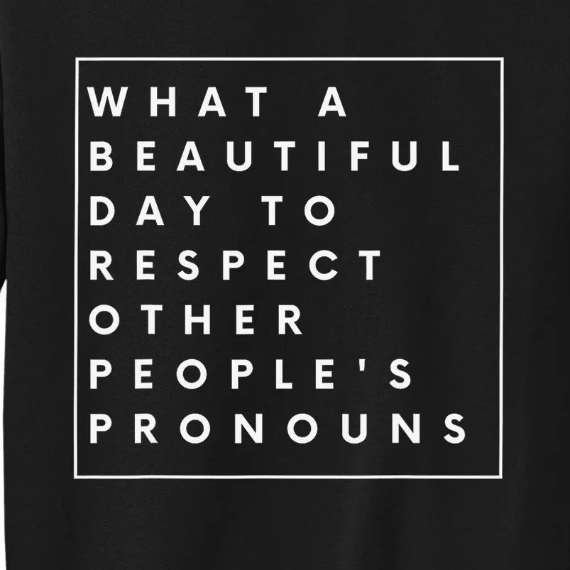 What Beautiful Day To Respect Other Peoples Pronouns LGBT Sweatshirt