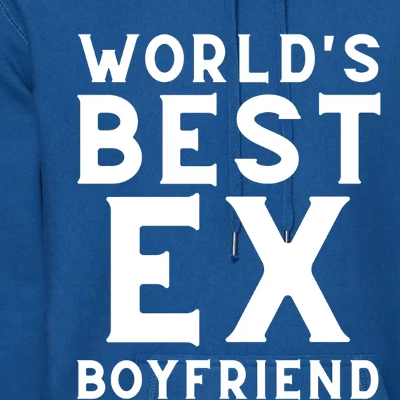 WorldS Best Exfriend: Embrace The Memories With Pride Gift Premium Hoodie