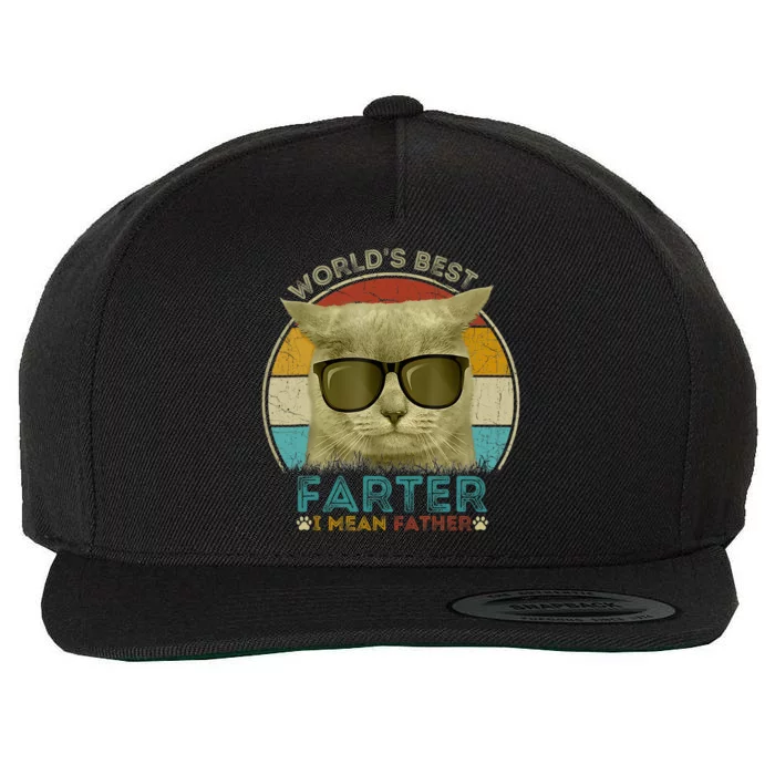 Worlds Best Farter I Mean Father Best Cat Dad Ever Wool Snapback Cap