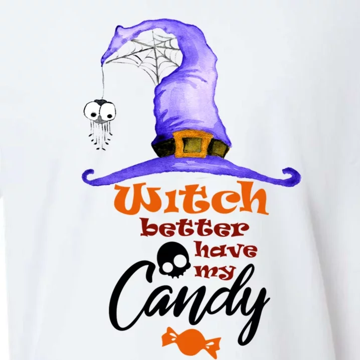 Witch Better Have My Candy Purple Hat With Spider Halloween Gift Sueded Cloud Jersey T-Shirt