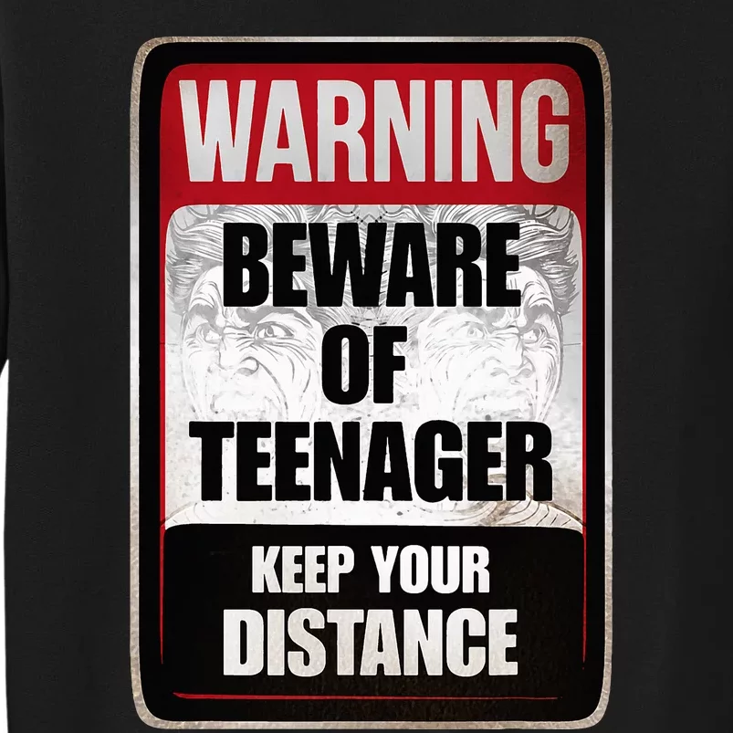 Warning Beware of Teenager Funny Danger Teens Sweatshirt