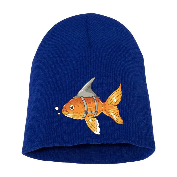 Wanna Be Shark Funny Fish Short Acrylic Beanie