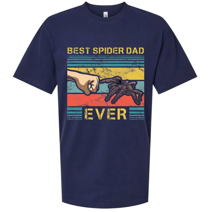 Worlds Best Spider Dad Funny Spider Animal Enthusiast Sueded Cloud Jersey T-Shirt