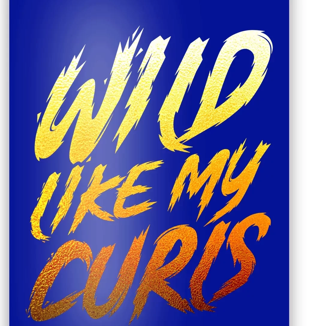 Wild Curls Curly Curls Wild Like My Curls Curly Gift Poster